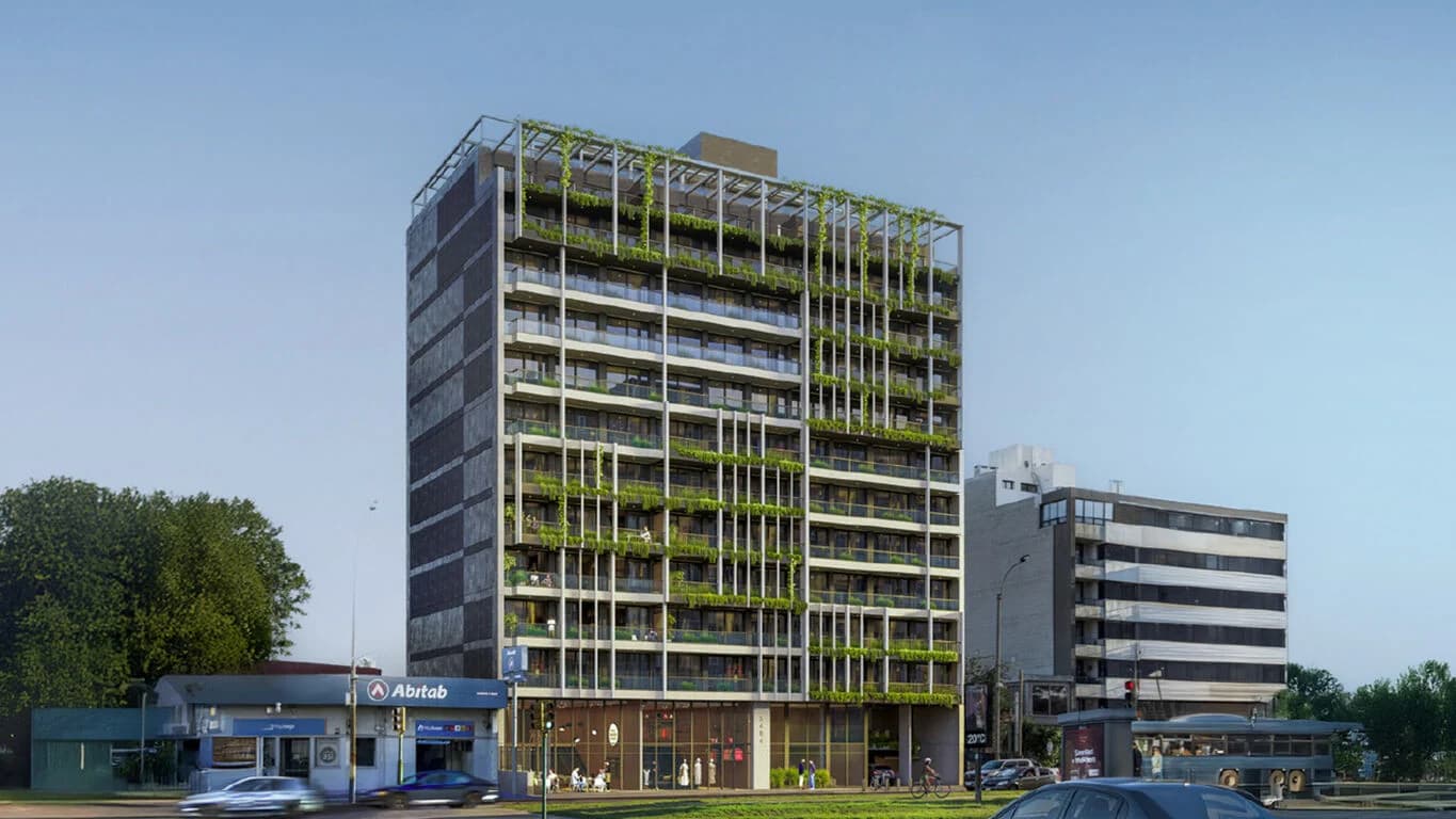 Grou Habitat